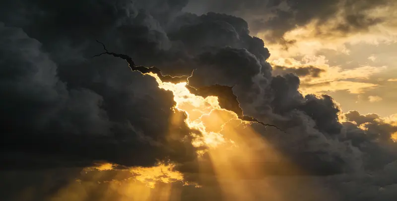 牡丹江肺癌靶向120基因检测（组织）图片1