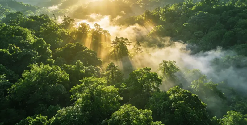 牡丹江肺癌119基因检测图片1