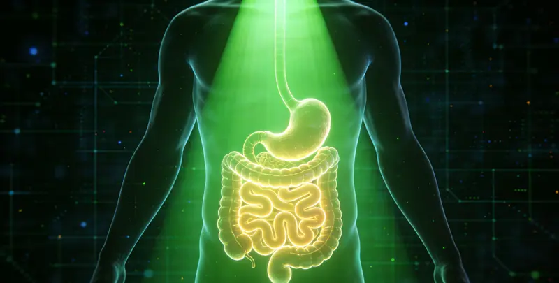 胃癌分子分型基因检测项目（组织）图2